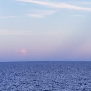 Meet your Posher, Vicki